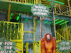 Jungle Fun House For Hire