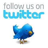 follow-us-on-twitter-bird